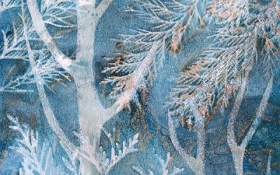 14 Marie-Noëlle Allard