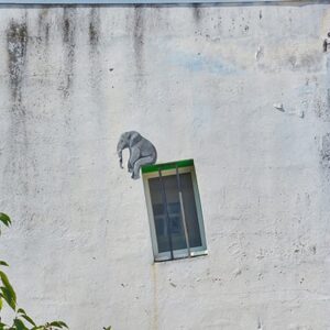 20 OakOak