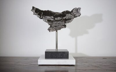115 Fragments Art by Gaëlle Marchand